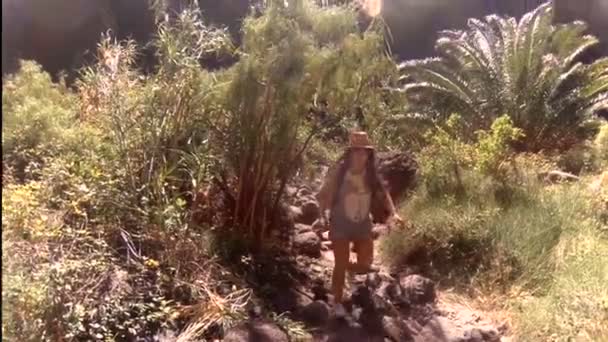 Menina está andando ao longo de uma estrada de montanha entre plantas tropicais. O conceito de férias de verão ativas . — Vídeo de Stock