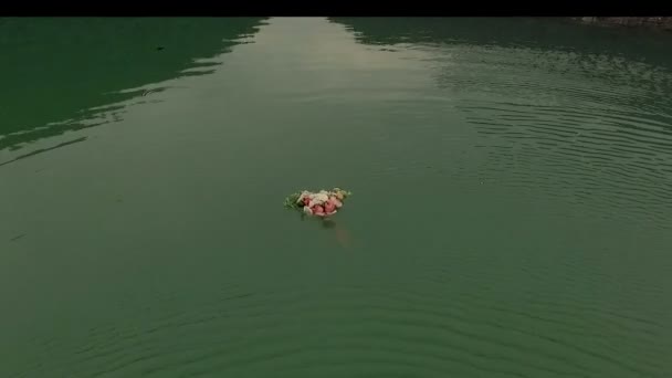 Luchtfoto van boeket rozen stekken langs het groen rivierwater. Van bovenaf bekijken — Stockvideo