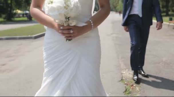 Nowożeńcy piękna w miłości w parku. — Wideo stockowe