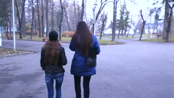 Två flickor vandrar längs parken hösten. — Stockvideo