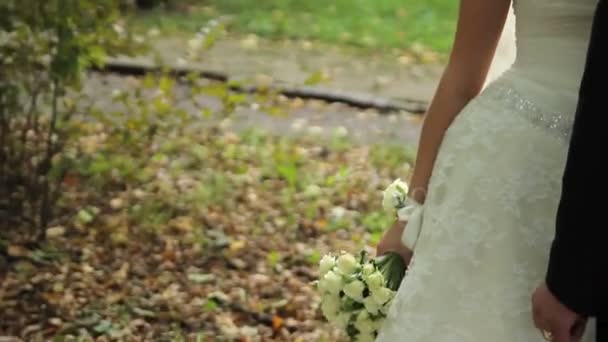 Portrait de couple de jeunes mariés amoureux dans le parc. tendresse amour — Video