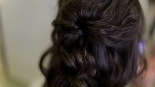 Stylist Fazendo Penteado Para Mulher Com Cabelo Escuro Cabeleireiro — Vídeo de Stock