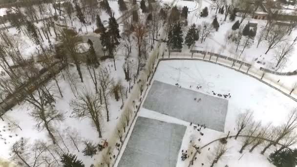 Aero pohled městského zimního parku. Kluziště na zamrzlém jezeře. Zimní rodinná dovolená.