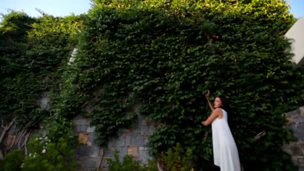 Красива дівчина на тлі високої кам'яної стіни з плющем — стокове відео