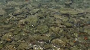 Çakıl taşları üzerinde deniz suyu. Atış çakıl taşları üzerinde deniz suyu kapatın