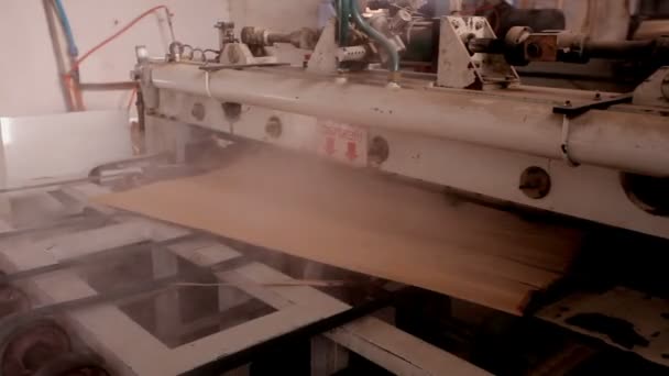 Fábrica de muebles. Producción de madera contrachapada. — Vídeo de stock