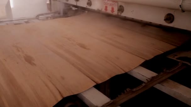 Фабрика меблів. Виробництво фанери . — стокове відео