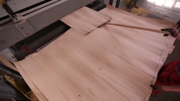 Möbelfabrik. Produktion av plywood. — Stockvideo