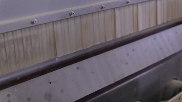 Обладнання на меблевій фабриці. працівник розрізає фанеру на рейки — стокове відео