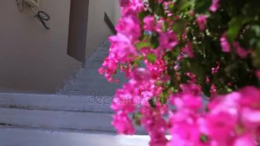 Gelin ve damat Yunanistan sokakta merdivenlerde ayakta. Düğün günü.