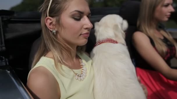 Twee meisjes met een hond rijden in de auto. Close-up — Stockvideo