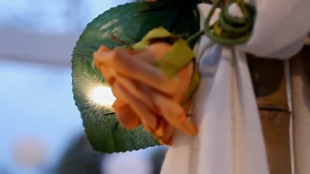 Частина Арки Трояндами Білими Кульками Романтичній Альтанці — стокове відео