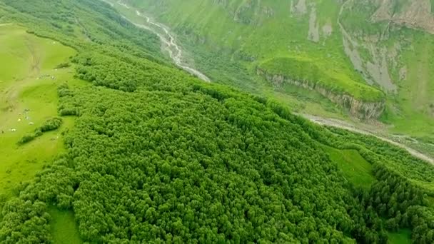 Fantástica Vista Aérea Das Montanhas Cobertas Com Floresta Verde Kazbegi — Vídeo de Stock