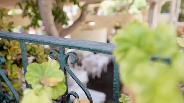 restaurant confortable en plein air dans le jardin parmi les fleurs 