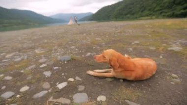 Nehir ve dağ zemin üzerine kırmızı köpek.