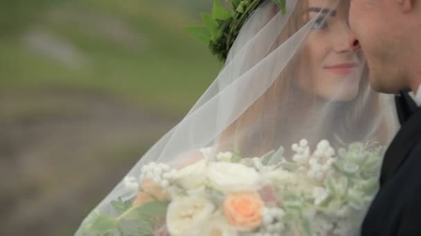 Jovem Casal Recém Casados Abraçando Suavemente Prado Geórgia — Vídeo de Stock