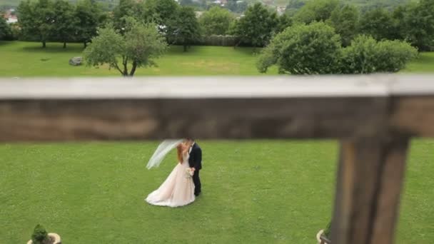 Vőlegény Menyasszony Szép Ruháját Ölelkezés Megcsókolta Állva Zöld Hegyek Kazbegi — Stock videók