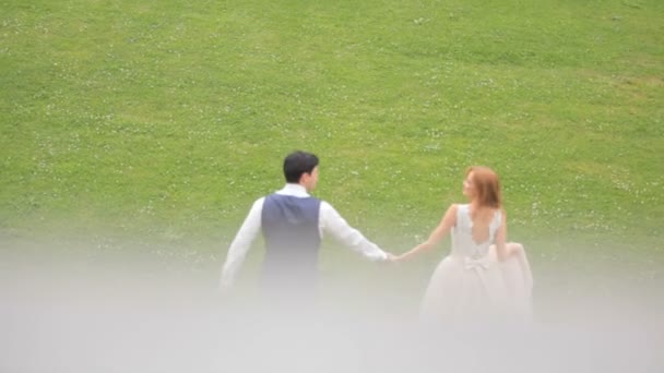 新娘和新郎沿着绿色的草地走, 上面的景色。慢动作 — 图库视频影像