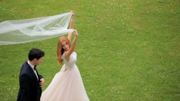 Bruid en bruidegom lopen langs groene gras, bovenaanzicht — Stockvideo