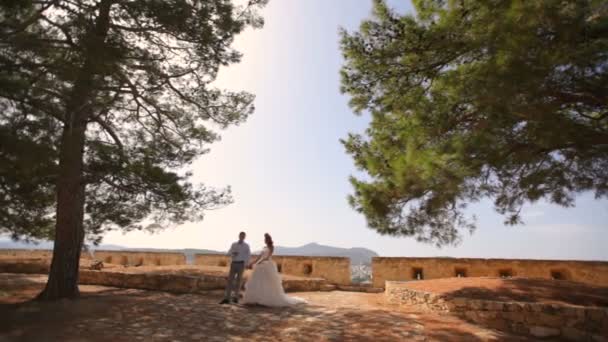 Felice sposa e lo sposo sullo sfondo di antiche rovine . — Video Stock