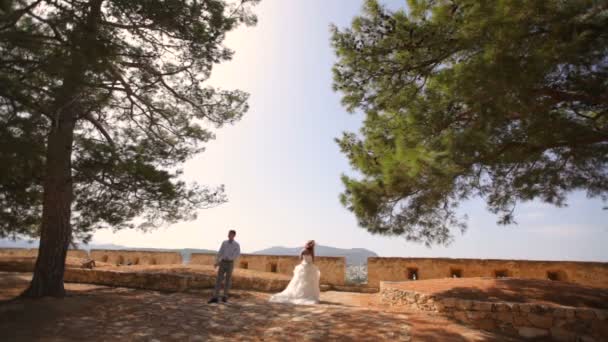 Gelin ve damadın eski şatonun yakınındaki romantik fotoşezi.. — Stok video