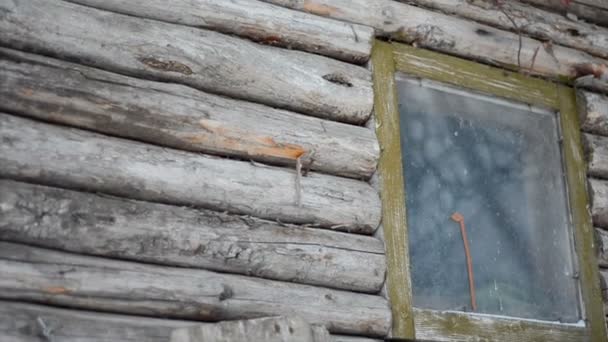 Stary zniszczony opuszczony dom drewniany — Wideo stockowe