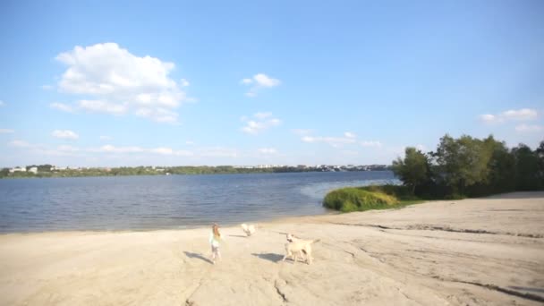 Gadis bermain dengan anjing oleh sungai pada hari musim panas — Stok Video