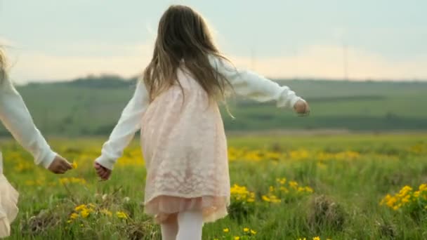 Zwei kleine Mädchen rennen durch die grüne Wiese. — Stockvideo