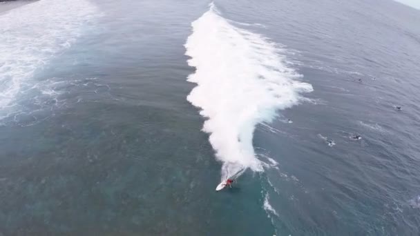 Chico está nadando en el mar en la tabla de surf — Vídeo de stock