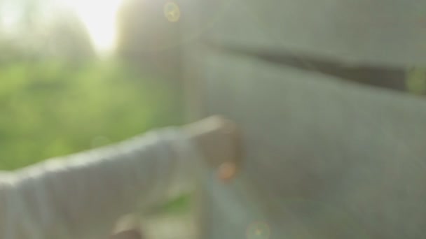 Two female hands on a background of a wooden wall and a blooming garden on a sunny spring day. — Stock video