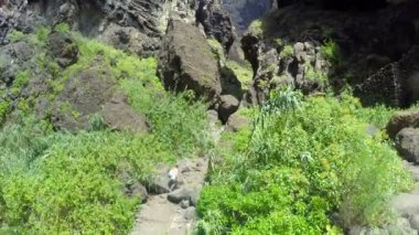 Hava görüntüsü. Kız, Masca 'nın ünlü vadisi boyunca yürüyor. Tenerife Kanarya Adaları, İspanya.