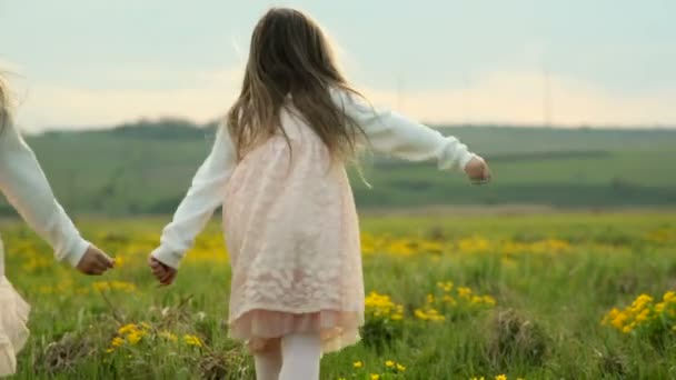 Két ikerlány játszik egy zöld mezőn. A boldog gyermekkor fogalma — Stock videók