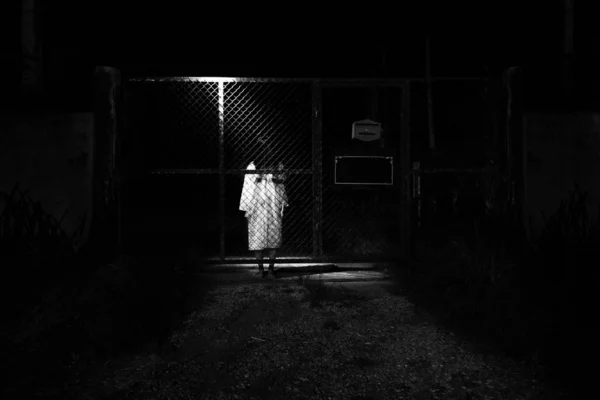신비로운 여자, 무서운 유령 여자 서 있는의 공포 장면 스톡 이미지