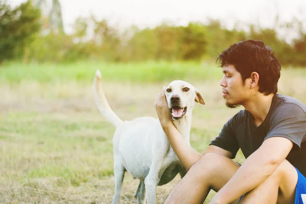 Man enjoy in meadow with pet — Stock Photo, Image