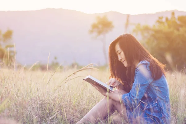 Frau liest Buch auf Wiese bei Sonnenuntergang mit Gefälle Stockbild