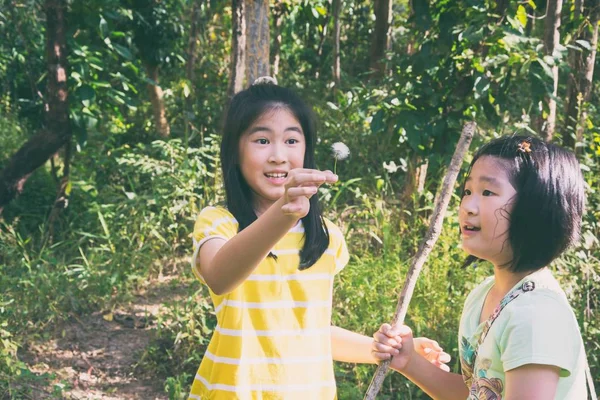 Ormanda oynayan çocuklar 