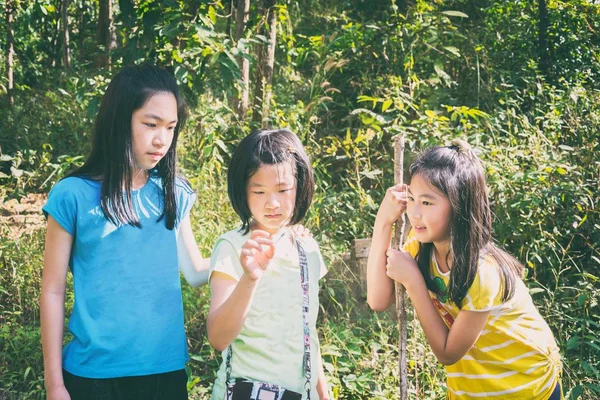 Ormanda oynayan çocuklar 