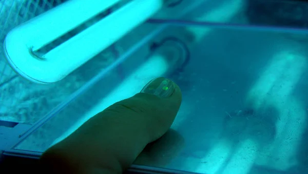 Menina Faz Pregos Lâmpada Ultravioleta Manicura — Fotografia de Stock