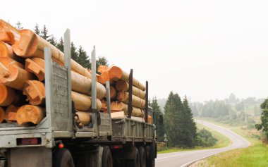A huge powerful truck with two platforms, carrying a bunch of large logs designed to build a house along a winding forest road with trees and road signs in the sun.