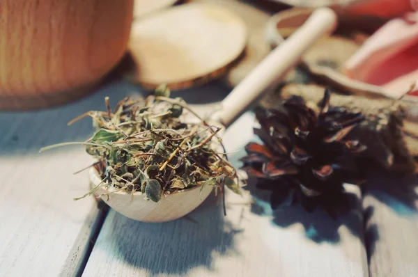 Heilkräuter Traditionelle Medizin Thymian Auf Einem Holzlöffel Mit Natürlichen Zutaten — Stockfoto