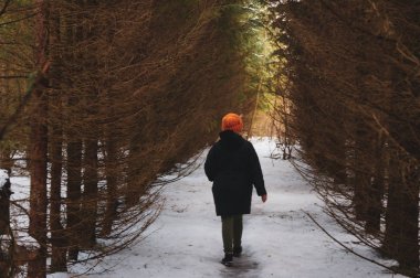 Sarı şapkalı kız, çam ormanında yürüyor.