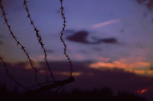 Alambre Púas Sobre Fondo Atardecer Púrpura —  Fotos de Stock