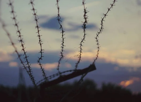 Αγκαθωτό Σύρμα Φόντο Μωβ Ηλιοβασιλέματος — Φωτογραφία Αρχείου