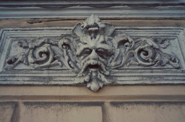 Büyük bir marihuana çalısı bir yazlıkta biber ve domateslerle yetişir.
