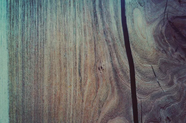 Textur Eines Schönen Schnitts Einem Baum — Stockfoto