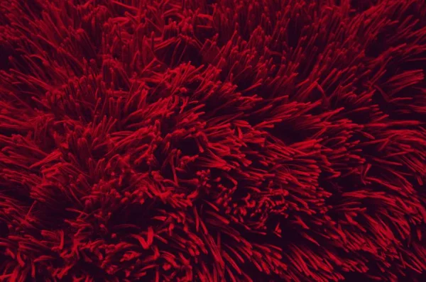 Abstrakcja Tekstury Tkaniny Długim Stosem Czerwieni Tło Wygaszacz Ekranu — Zdjęcie stockowe