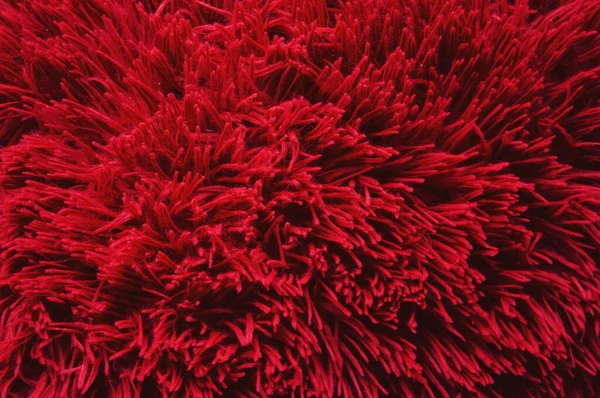 Abstracción Textura Tela Con Una Larga Pila Rojo Para Fondo — Foto de Stock