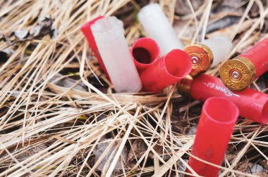 Avcılık, mermi kovanları kuru çimenlerde yatıyor, 70 mm.