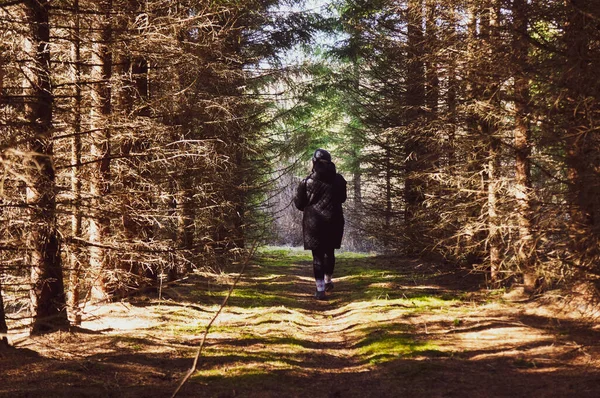 Kız Güneşli Bir Günde Kozalaklı Ormanda Yürüyor — Stok fotoğraf