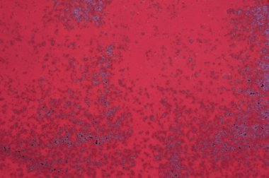 Arka plan için paslanmış kırmızı renkli demir yaprağının deseni